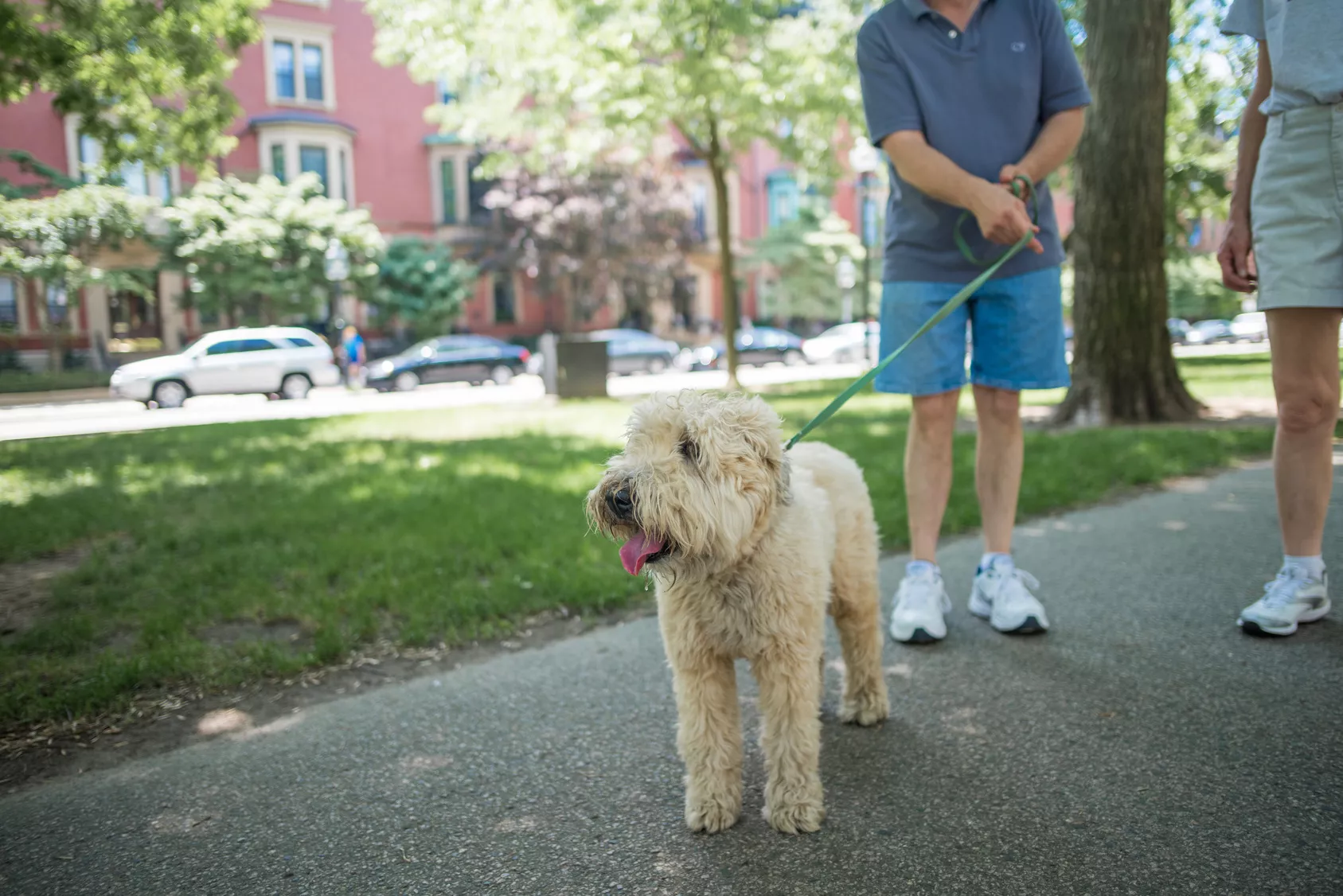 Bjeffende hund på tur